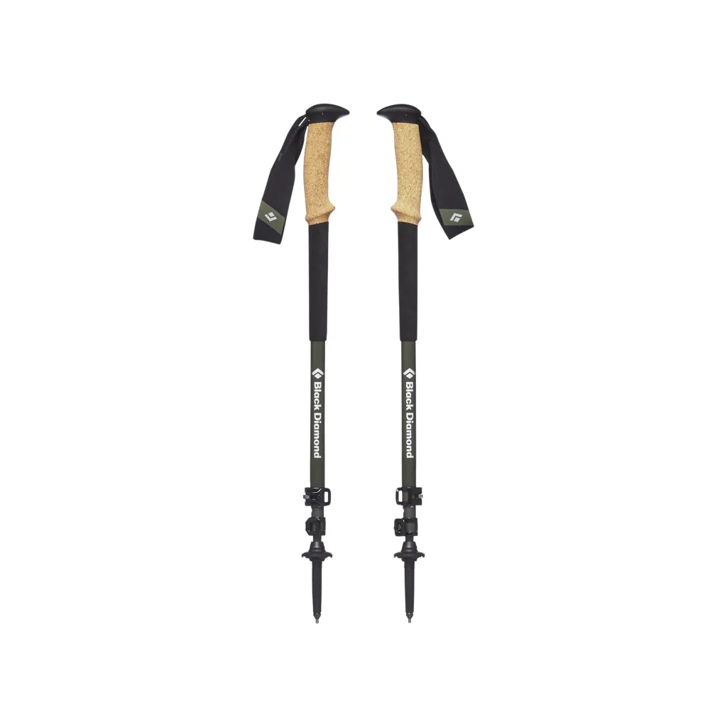 Alpine Carbon Cork Trekking Poles